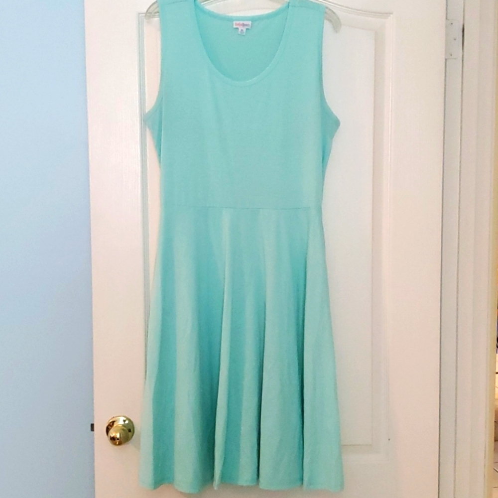 Lularoe Solid Baby Blue Nicki XL